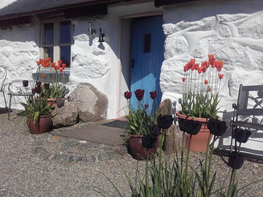 Traditional Stone Cottage With Sea Views In Snowdonia National Park Brynkir المظهر الخارجي الصورة