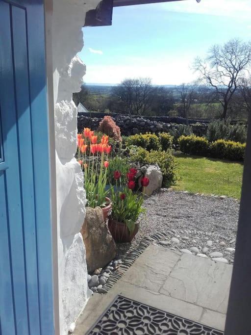 Traditional Stone Cottage With Sea Views In Snowdonia National Park Brynkir المظهر الخارجي الصورة